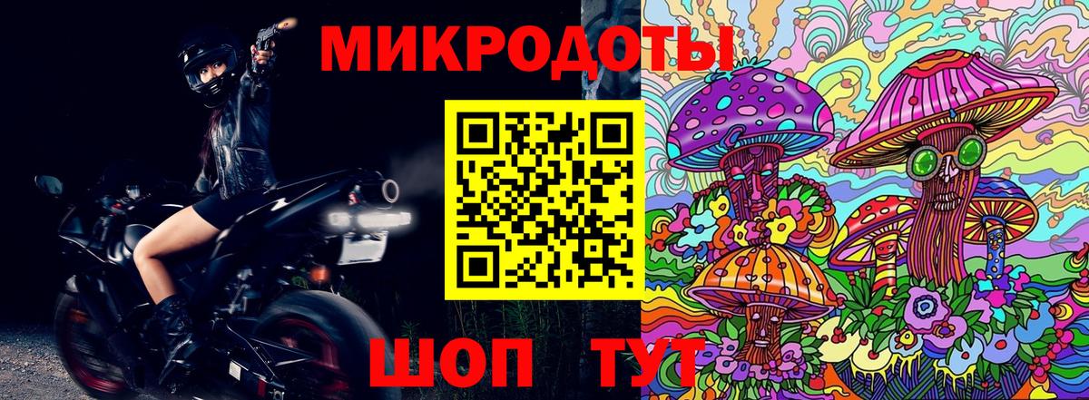 Галлюциногенные грибы прущие грибы  Псилоцибиновые грибы мицелий  Сланцы  Вход с VPN 