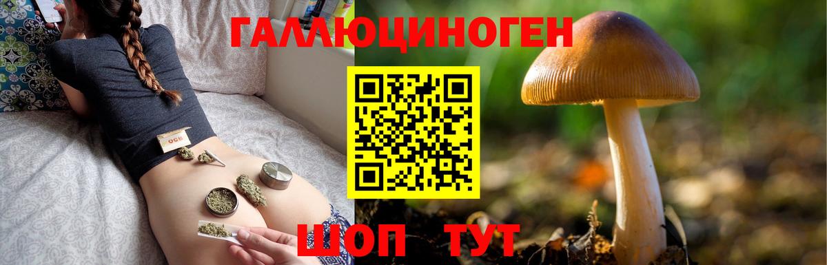 Псилоцибиновые грибы Psilocybe Сланцы